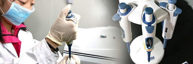 1489732712117407.jpg 11.jpg